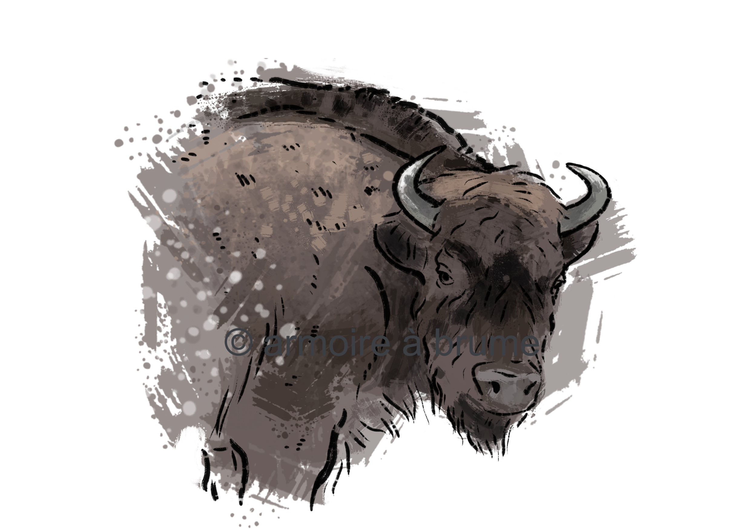 bison_coul